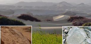 Egypt's Millennia-Old Rock Art At Risk From Climate Change - Polish Scientists Race To Document It