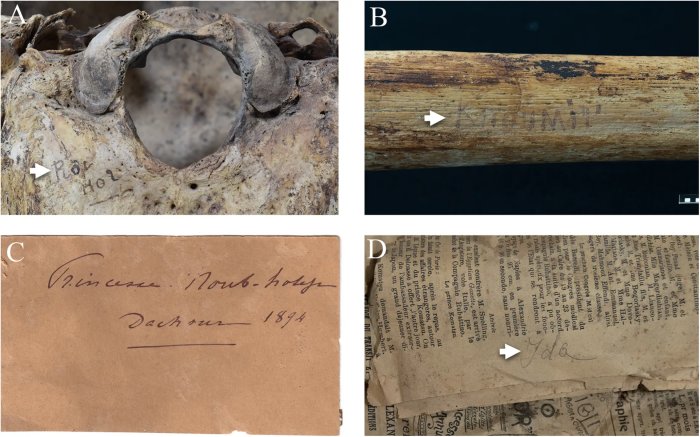 Princesses Of Ancient Egypt Trained In Sophisticated Archery And Combat Techniques 4,000 Years Ago
