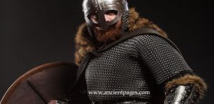 Hird – Viking Warriors And Professional Body Guards Prepared To Die For Their Leader