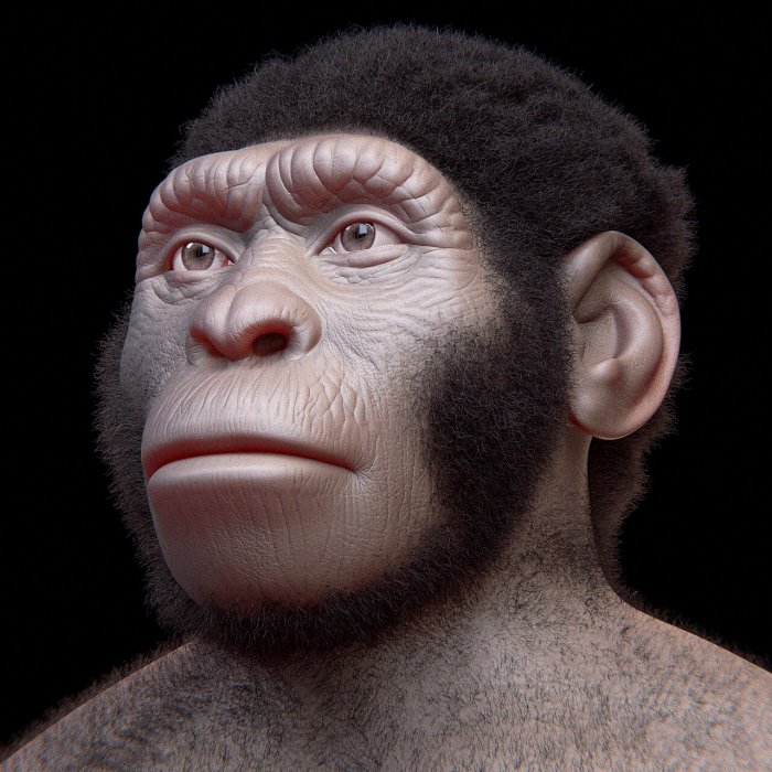 Homo Naledi Fossil In Rising Star Caves Could Represent First Gender-Specific Burials By A Nonhuman Species