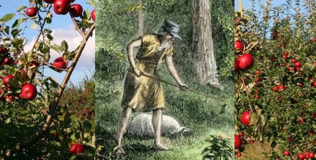 Legendary Johnny Appleseed Who Planted Apple Trees Across North America
