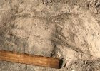 Unexpectedly Large Hominins Identified From 1.4-Million-Year-Old Footprints By An African Lake