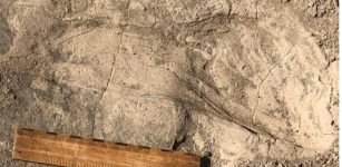 Unexpectedly Large Hominins Identified From 1.4-Million-Year-Old Footprints By An African Lake