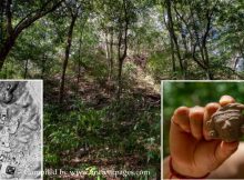 Forgotten Ancient Maya City El Yesal And Its Large Pyramids In The Balam Kú Biosphere Reserve, Mexico, Revealed By Archaeologists