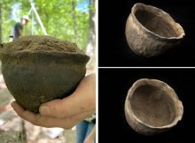 Rare Centuries-Old Native American Potano Pot Of Unknown Purpose Discovered In Florida