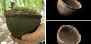 Rare Centuries-Old Native American Potano Pot Of Unknown Purpose Discovered In Florida