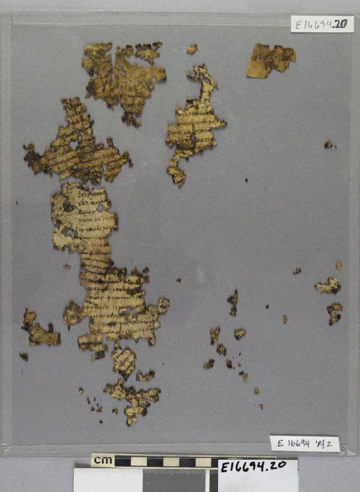 Solving A 1,600-Year-Old Roman Mystery: Parchment Fragments That Surprisingly Survived In The Egyptian Sands