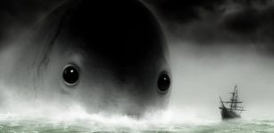 Frightening Aquatic Monster From Japanese Maritime Legends: A Primordial Sea Creature Or Dishonored Ancient Dragon?