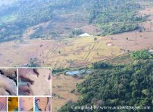 Traces Of The Ancient Lost Aquery Civilization In The Amazon Found by LiDAR