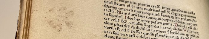 Medieval Mischief: Cat Paw Prints Found In 15th-Century Books