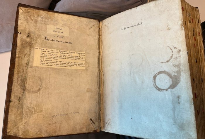 Medieval Mischief: Cat Paw Prints Found In 15th-Century Books