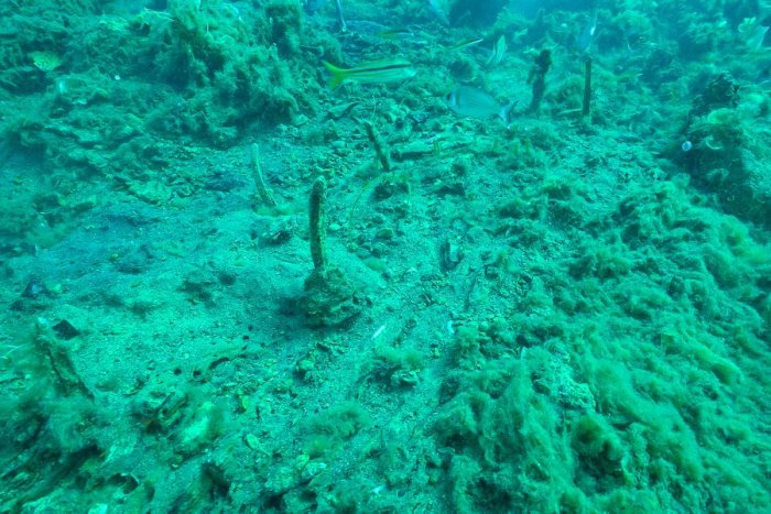 Giant Ancient Roman Dolium And Possible Shipwreck Found On The Seabed Near Elba Island