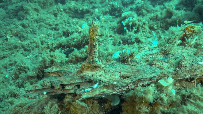 Giant Ancient Roman Dolium And Possible Shipwreck Found On The Seabed Near Elba Island