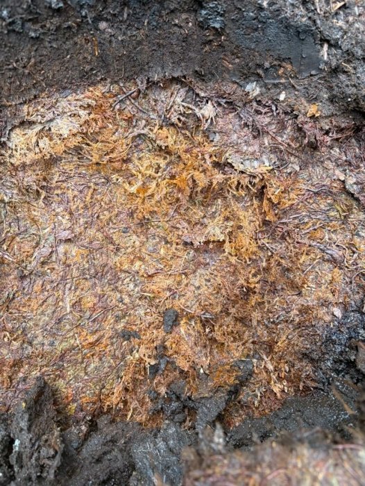 What Lies Inside The Grønhaug Burial Mound? A Viking Ship - And What More?