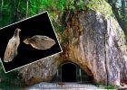 Tiny Ice Age Artifacts Discovered In The Hohle Fels Cave May Reveal Why The Human Species Survived
