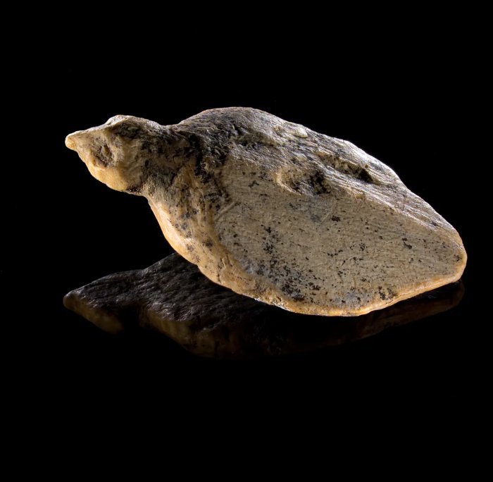 Tiny Ice Age Artifacts Discovered In The Hohle Fels Cave May Reveal Why The Human Species Survived