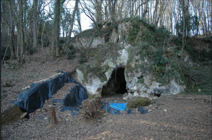 Europe's Last Neandertals Were More Diverse Than Expected Before Disappearing