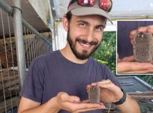 Another Mysterious 4,000-Year-Old Undeciphered Tablet Found At The Lucone Site, Italy