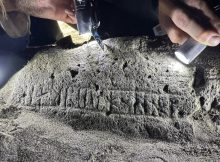 Rare Medieval Runestone Found In The Faroe Islands - Inscription Still Undeciphered