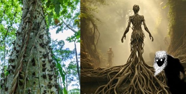 Caribbean Silk Cotton Tree And Its Dangerous Spirits In Myths And Legends