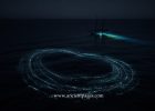 Spooky Underwater Phenomena Investigated By Scientists