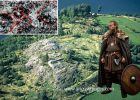 Radar Detects Anomalies And Unknown Burial Mounds At Viking-Age Birka