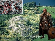 Radar Detects Anomalies And Unknown Burial Mounds At Viking-Age Birka