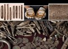 Denmark's Largest, Spectacular And Unique Viking Silver Treasure Found In Garden