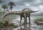 Iconic Diplodocus Discovered In Spain – First Evidence Outside North America