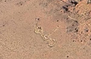 Mysterious Giant Stone Circles And Unknown Passages Discovered High In ...