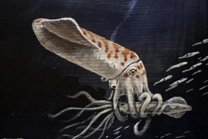 Wyoming Discovery Reveals Odd Jurassic Squid Preserved For 160 Million Years