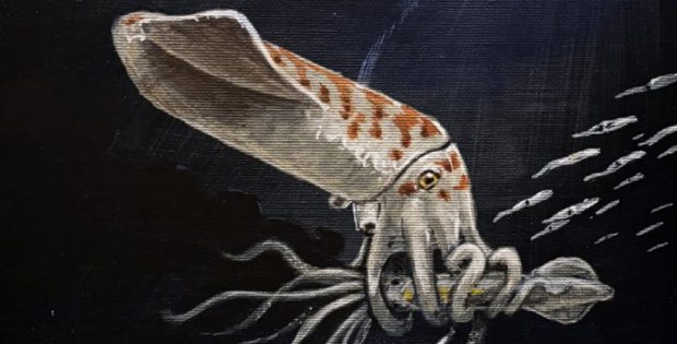 Wyoming Discovery Reveals Odd Jurassic Squid Preserved For 160 Million Years
