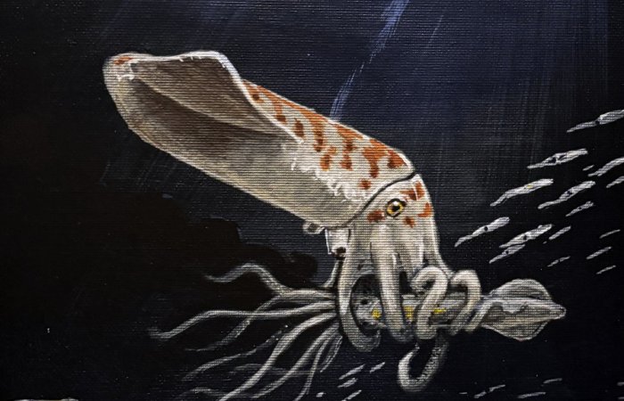 Wyoming Discovery Reveals Odd Jurassic Squid Preserved For 160 Million Years