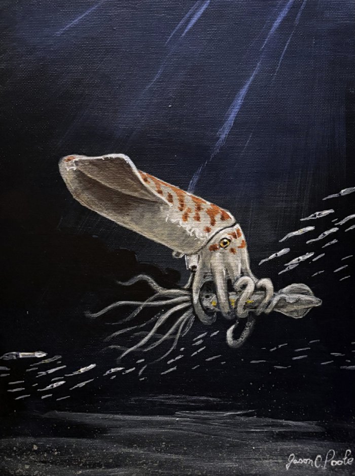 Wyoming Discovery Reveals Odd Jurassic Squid Preserved For 160 Million Years