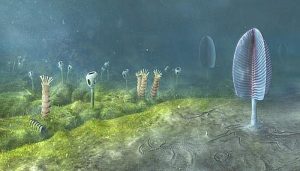 Animals May Have Evolved Up To 200 Million Years Earlier Than Fossil Evidence Suggests