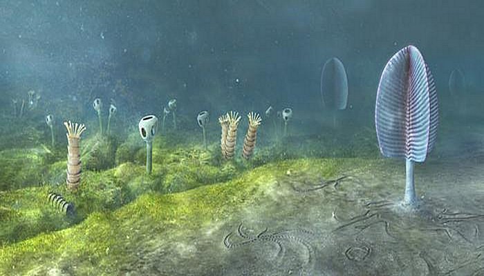 Animals May Have Evolved Up To 200 Million Years Earlier Than Fossil Evidence Suggests