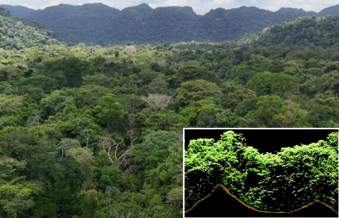 LiDAR Reveals How The Ancient Maya Civilisation Shaped Today's 'Pristine' Rainforests LiDAR Reveals How The Ancient Maya Civilisation Shaped Today's 'Pristine' Rainforests