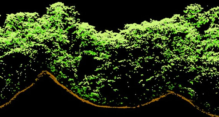 LiDAR Reveals How The Ancient Maya Civilisation Shaped Today's 'Pristine' Rainforests LiDAR Reveals How The Ancient Maya Civilisation Shaped Today's 'Pristine' Rainforests