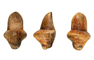 Mystery Of The 18,000-Year-Old Venus Figurines From Mizyn, Ukraine Solved