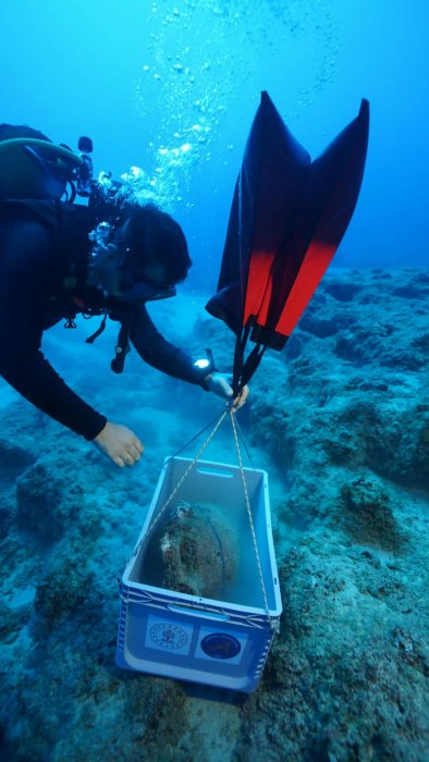 Revealing A 4,500-Year-Old Bronze Age Time Capsule - World's Oldest Known Shipwreck Discovered Off Turkey 